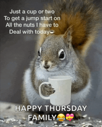 a squirrel is holding a cup of coffee and says " just a cup or two to get a jump start on "
