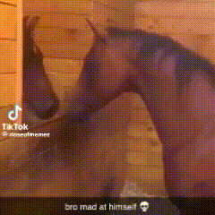 a person is standing next to a horse in a stable and talking to it .