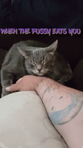 Cat When The Pussy Eats You GIF - Cat When The Pussy Eats You Cat Lick GIFs