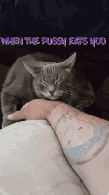 Cat When The Pussy Eats You GIF