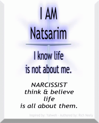 Natsarim Narcissist GIF - Natsarim Narcissist Life GIFs