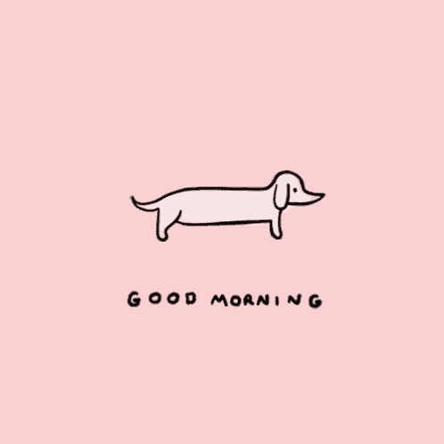 a dachshund is laying down on a pink background with the words `` good morning '' .