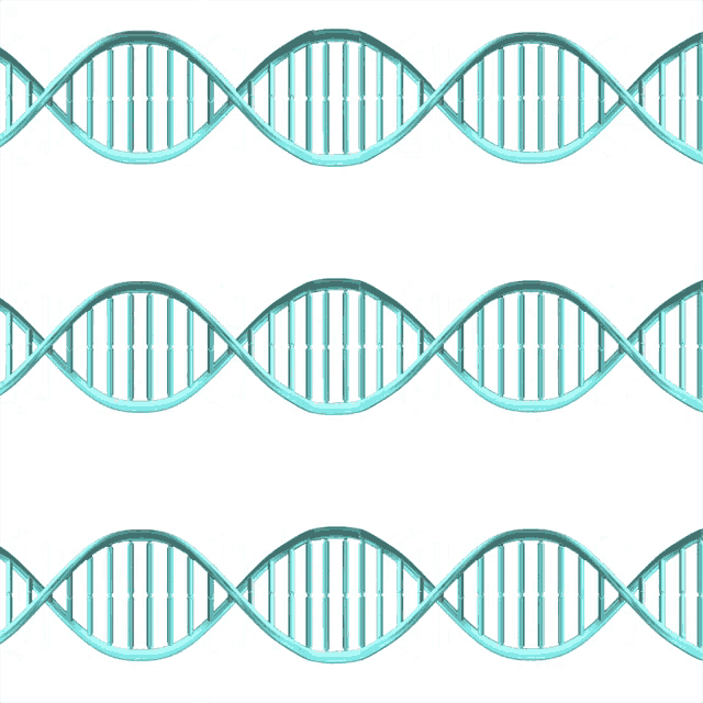 three blue dna molecules are lined up in a row on a white background