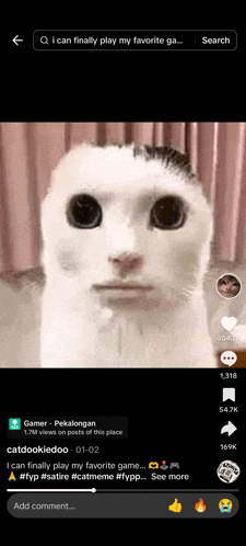 a screenshot of a video of a cat with a face on it