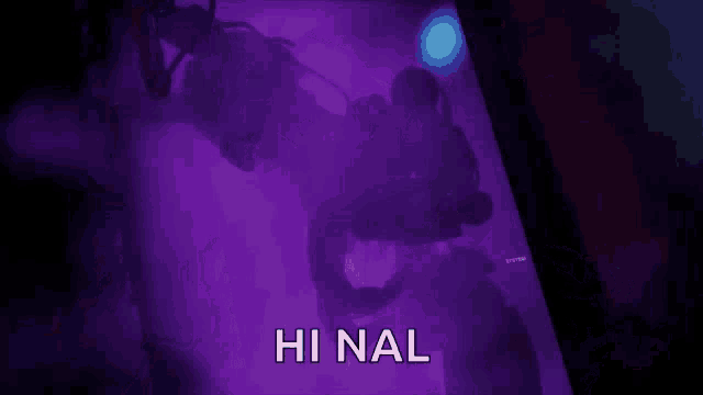 a purple background with the words hi nal in white