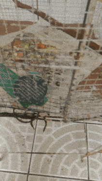 a bird cage is sitting on a tiled floor with a broken wire