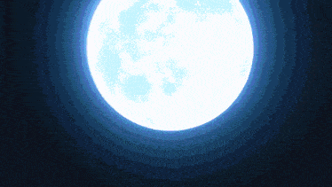 a full moon is visible in the night sky