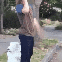 a man is standing next to a white dog on the sidewalk .