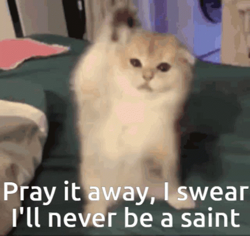 Pray It Away I Swear Ill Never Be A Saint Enemy GIF - Pray It Away I Swear Ill Never Be A Saint Enemy Cat GIFs