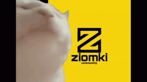 Ziomki GIF - Ziomki GIFs