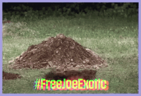 a picture of a pile of dirt with the words #freejoeexotic on it