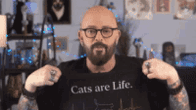 a bald man wearing glasses and a black shirt that says cats are life