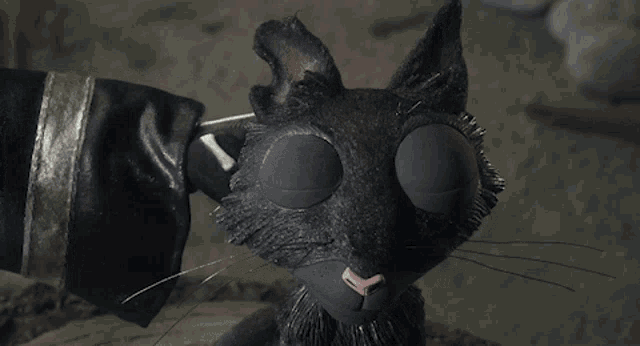 a person wearing a skeleton glove touches a black cat 's face