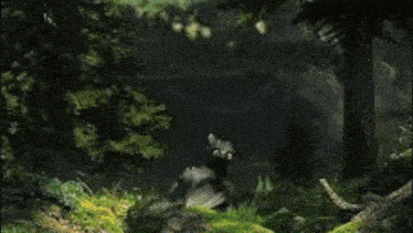 a cartoon girl is standing in a forest with a camera on her shoulder