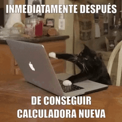 a black and white cat is playing with a laptop computer .