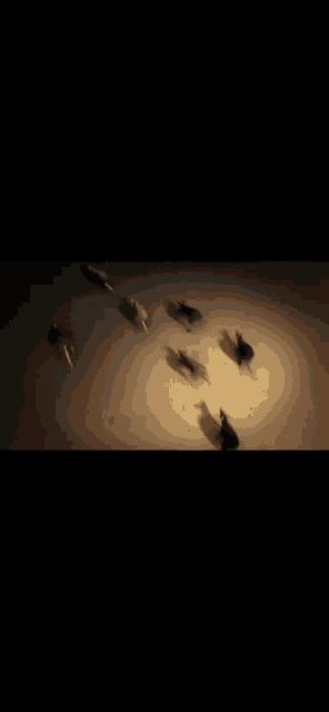 a group of people are swimming in a dark room