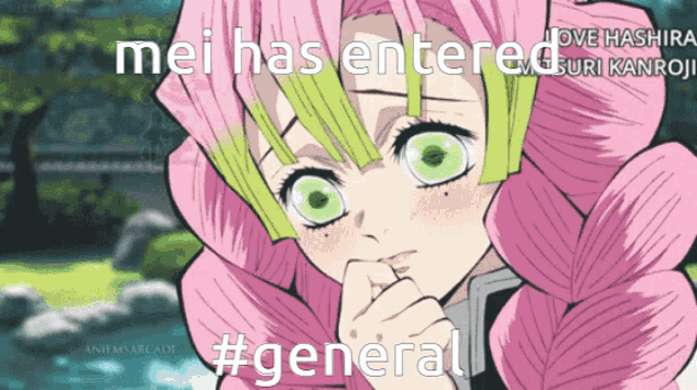 a girl with pink hair and green eyes says mei has entered #general .