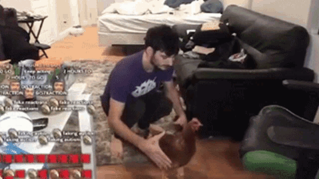 Catching Holding GIF - Catching Holding Chicken GIFs