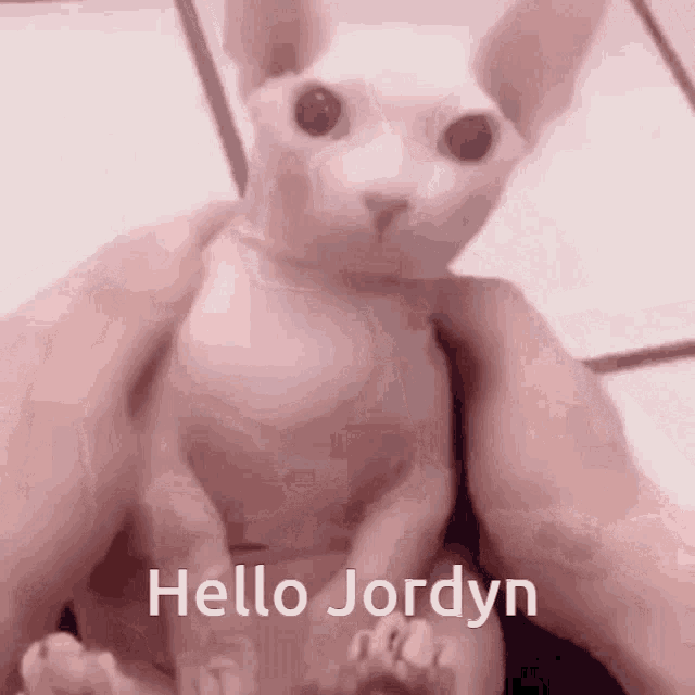 Hello Jordyn GIF - Hello Jordyn GIFs