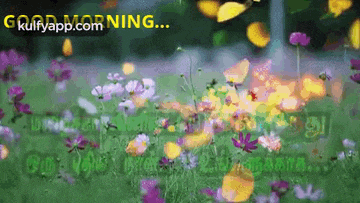 a bunch of flowers are in a field with butterflies flying around them