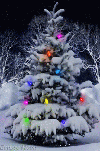 Happy Christmas Happy Holidays GIF - Happy Christmas Happy Holidays Christmas Tree GIFs