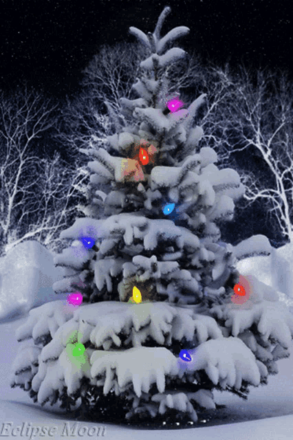a snow covered christmas tree with multicolored lights and the words eclipse moon below it