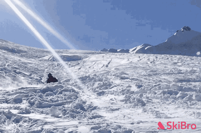 Skiing Fail GIF - Skiing Fail Crash GIFs