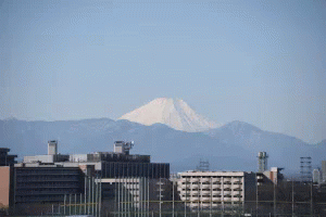 富士山 GIF - Mount Fuji Flying Plane Japan GIFs