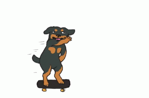 Skatboard Skating GIF - Skatboard Skating Dog GIFs