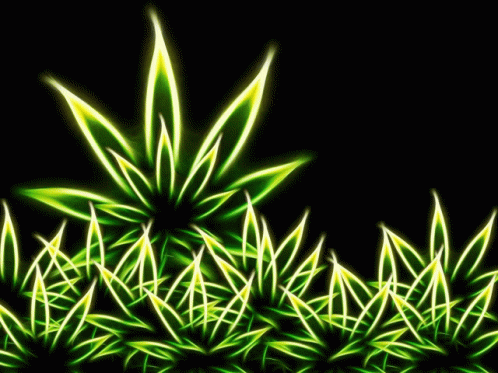 Stoned Weed GIF - Stoned Weed High GIFs