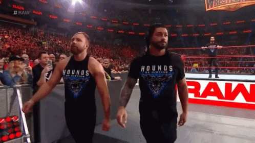 Roman Reigns Dean Ambrose GIF - Roman Reigns Dean Ambrose Ambreigns GIFs