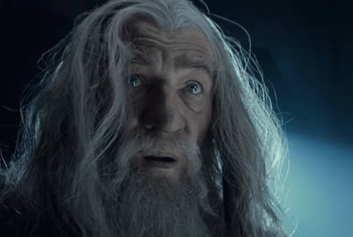 Gandalf Lord Of The Rings GIF - Gandalf Lord Of The Rings Tiren Iniciativa GIFs