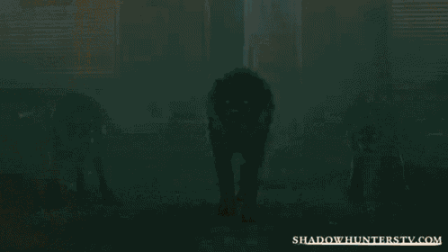 the sun is shining through the fog and there is a shadow of a person in the fog .
