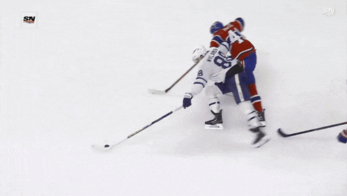 a hockey game is being played in front of a sn banner