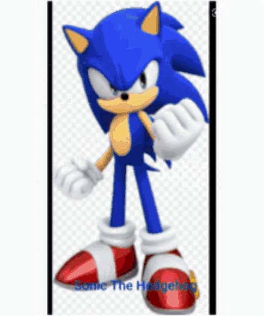 a picture of sonic the hedgehog with the words sonic the hedgehog written below him