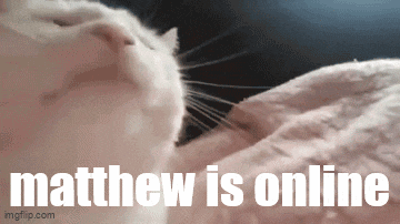 a cat laying on a blanket with the words matthew is online