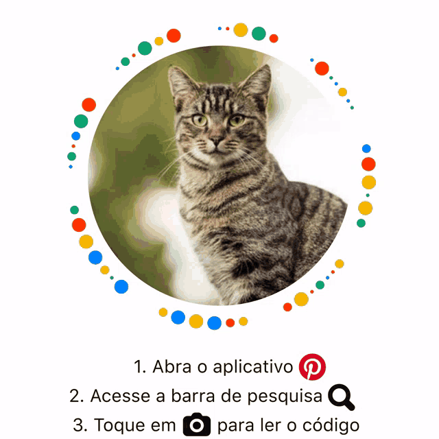 a picture of a cat in a circle with the words abra o aplicativo below it