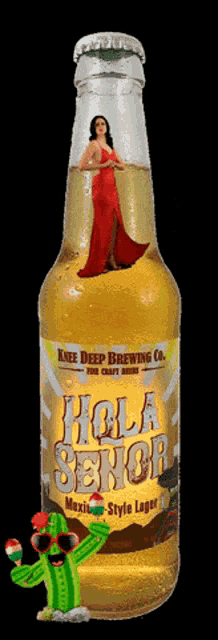 a bottle of hola senior mexican-style lager with a woman in a red dress on the label