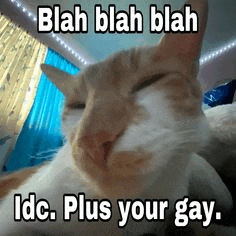 U Gay Meme