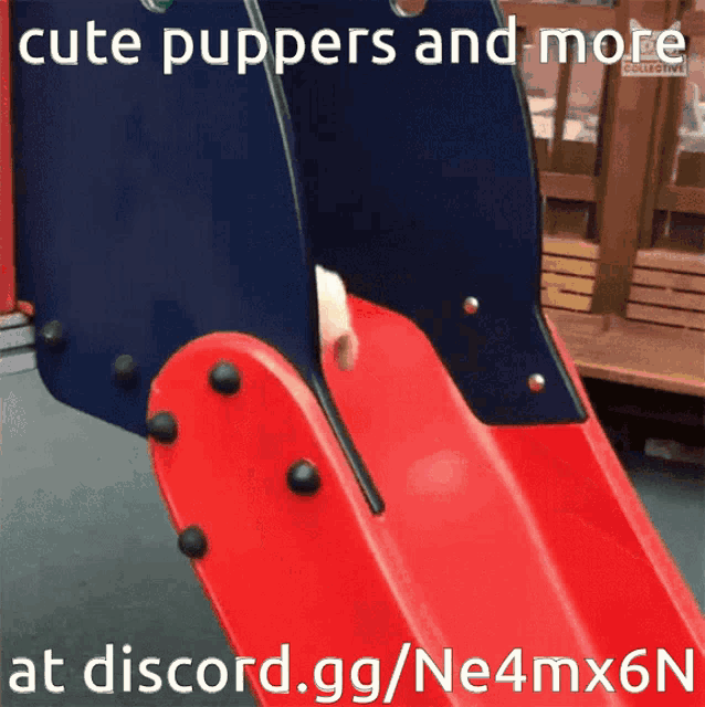 a picture of a slide with the words cute puppers and more at discord.gg/ne4mx6n below it
