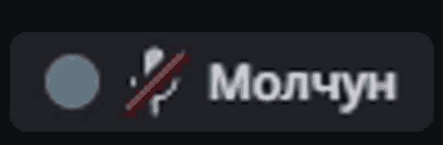 a black background with a circle and the word molchny