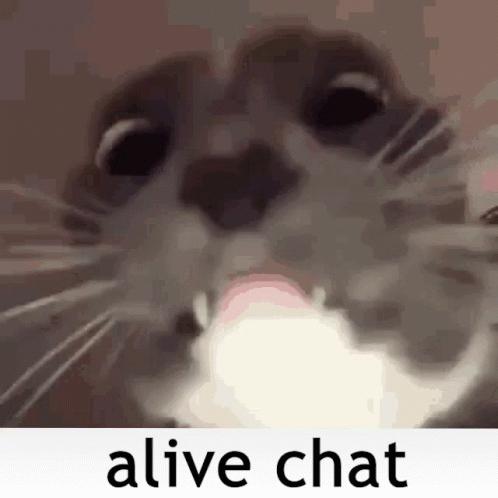 Googas Alive Chat GIF - Googas Alive Chat Bruh - Discover & Share GIFs