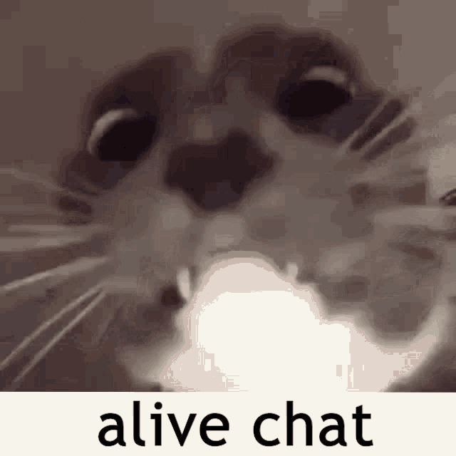 Alive Chat GIF - Alive Chat Alive Chat - Discover & Share GIFs