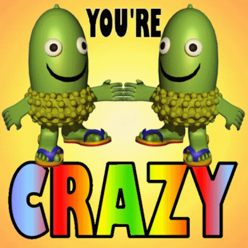 Youre Crazy You Are Crazy GIF