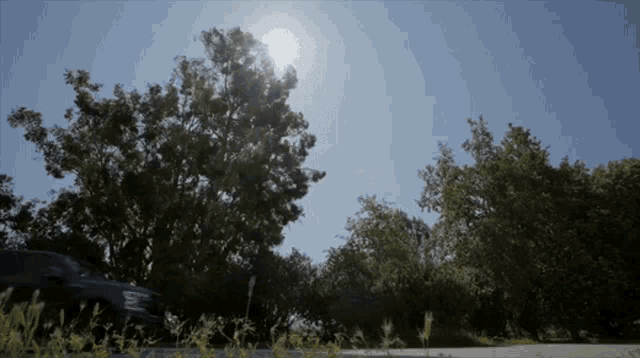 a car is driving down a road surrounded by trees with the sun shining through the trees