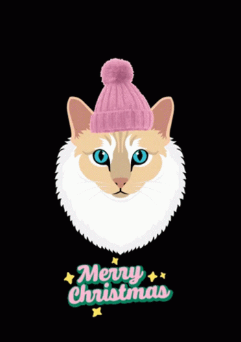 Merry Christmas Christmas Cat GIF - Merry Christmas Christmas Cat Melina Bucher GIFs
