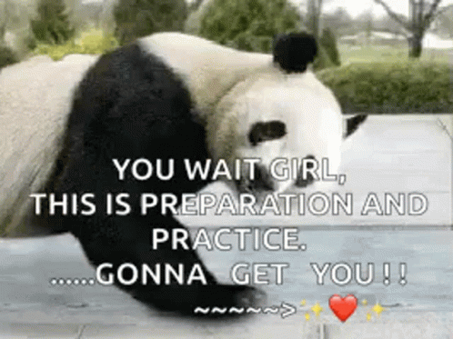 Panda Push Up GIF