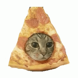 Pizza Cat I Love Pizza GIF - Pizza Cat Pizza I Love Pizza GIFs