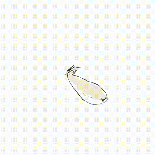 a drawing of a fish with a face on it