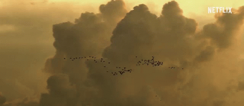 Flying Freedom GIF - Flying Freedom Flock Of Birds GIFs
